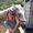 jayley
