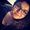 Drea "BreadandWater"