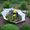 Gardening Ideas
