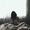 sarahhood0154