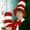 Dorothy Schultheis