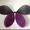 Violet Fairy