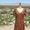 Mojave Dry Goods