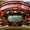 RedSeaCoral
