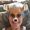 Marie Boily