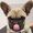 Parker Animal Hospital