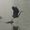 Majestic_Dinosaur_Bird