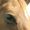 Julie Bugbee