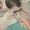 Mary Kleps