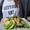 Delinutrilife Vegan
