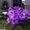 LuAnn Southward