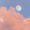 Moon Malter
