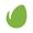 Envato