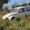 Ethme Breytenbach
