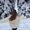 ☃️Lilyana❄️