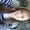 Alex M