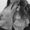 lottie bowley