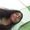 Airiel Shane Corpuz