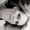 Amanda Van Tonder