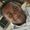 Mathias Aserbire