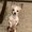Zoey