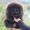 cher