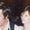Pat Fogarty Kline