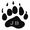 Junior Bear