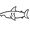 Surfboard Shark