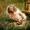 Christin