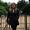 Amy Spearing Interiors
