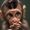 Animals on Planet