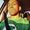 Tyree Lackings