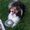 Turita Middleton