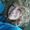 Kelly Gustafson Klund