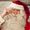 Christmas House Santa