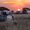 Africa Fevers
