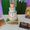 sweet inspiration events
