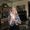 Christy Odom