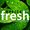 officefresh MD