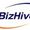 Bizhive llc