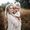 Brooke Chapman