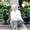 Debra Grubbs