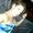 Shannong2181
