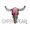 Gypsy Pearl Tx