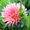 thegardenspotter