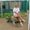 Mariette Riedell