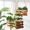 Terrase&Plante&Jardin