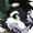 vipertoxicwolf vipertoxicwolf