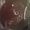 LynnAnne Joiner Lowrie
